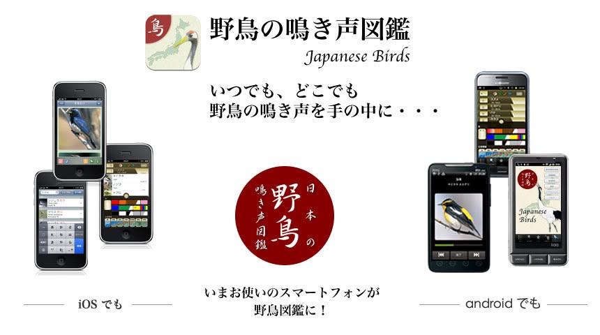 野鳥の鳴き声図鑑1.5.1 をリリース