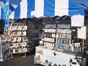 ジャパンバードフェスティバル 2019