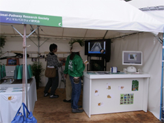 COP10