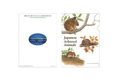 樹上性動物のクリアファイル発売