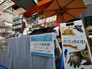 ふたこ座
