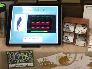 博物ふぉすてぃばる！5