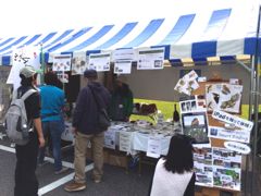ジャパンバードフェスティバル 2013