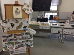 日本鳥学会 2013