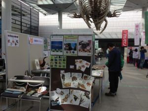 大阪自然史フェスティバル 2012