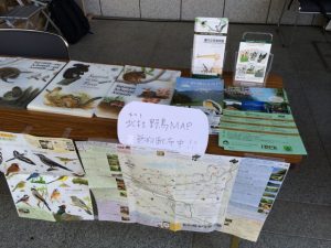 大阪バードフェスティバル 2013