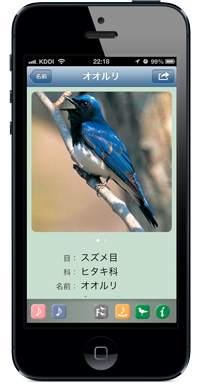 詳細画面
