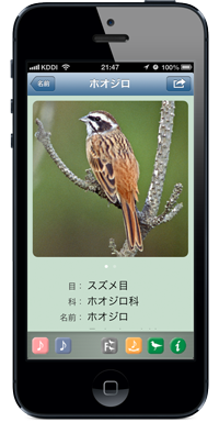 写真画面
