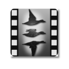 SmartBirding 野鳥動画図鑑